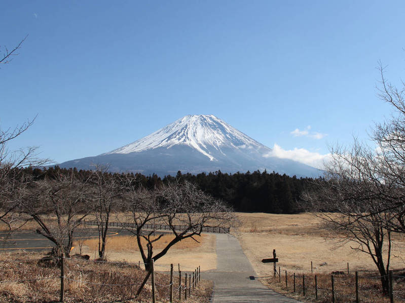 都心から日帰りドライブも可能な静岡県へお出かけ。大人の静岡観光にオススメの道の駅16選